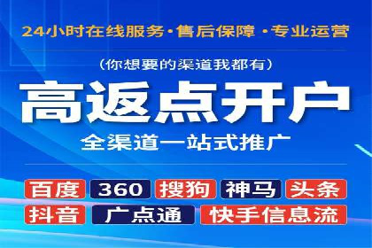 搜索引擎营销（SEM）的精准投放技巧案例